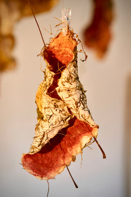 Habitats - Marguerite Elliot - Untitled 1, 2024