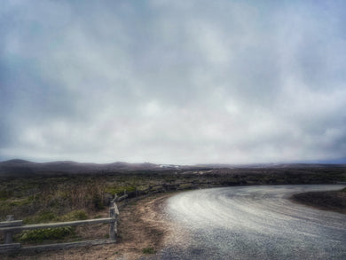 Seen and Heard : Gayle Coleman : The Road Home