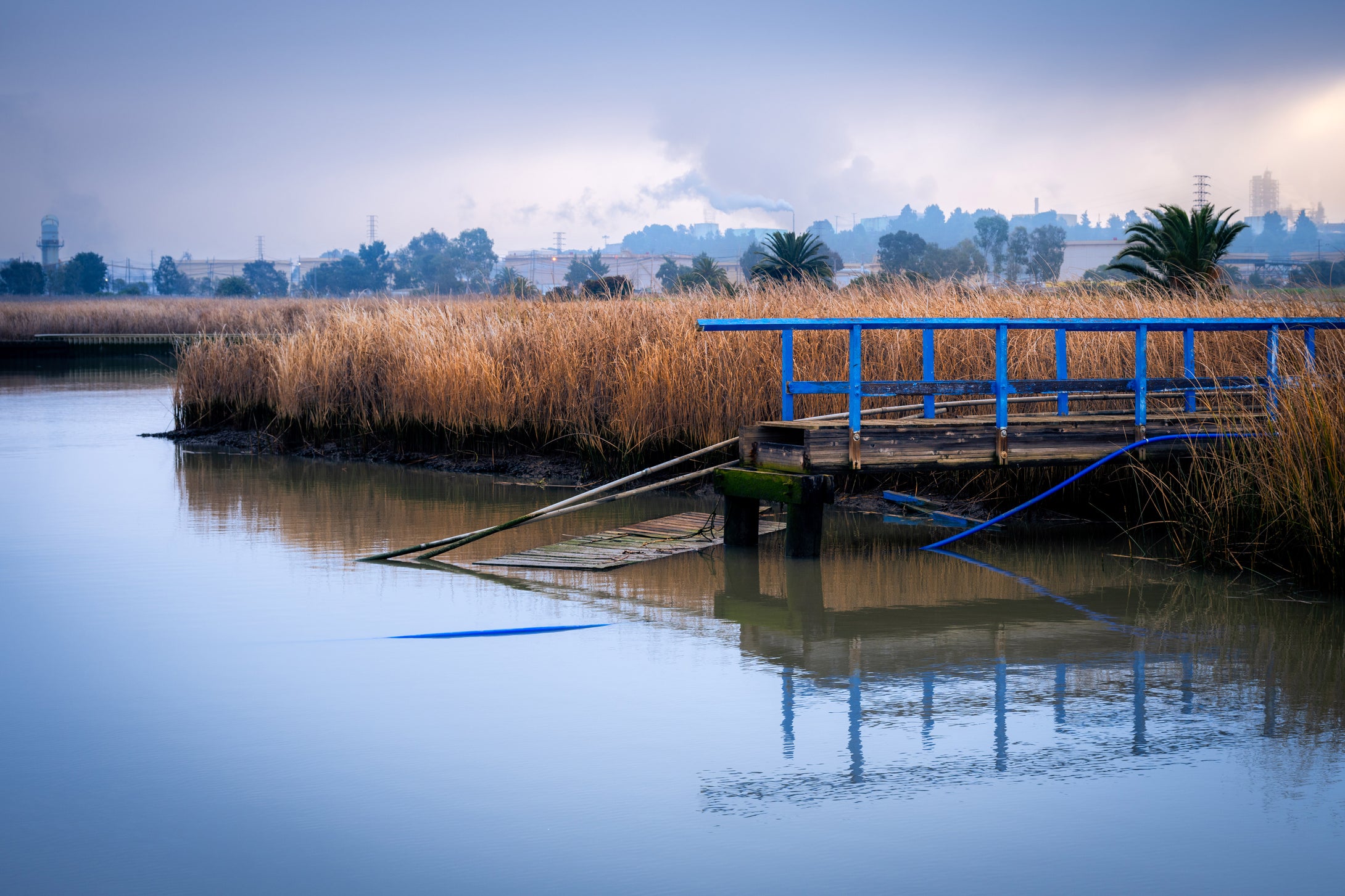 Seen and Heard : Jonathan Gray : Daybreak Martinez Marina