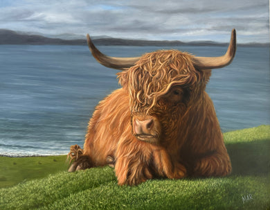 Seen and Heard : Marianna Dullum : Highland Cow