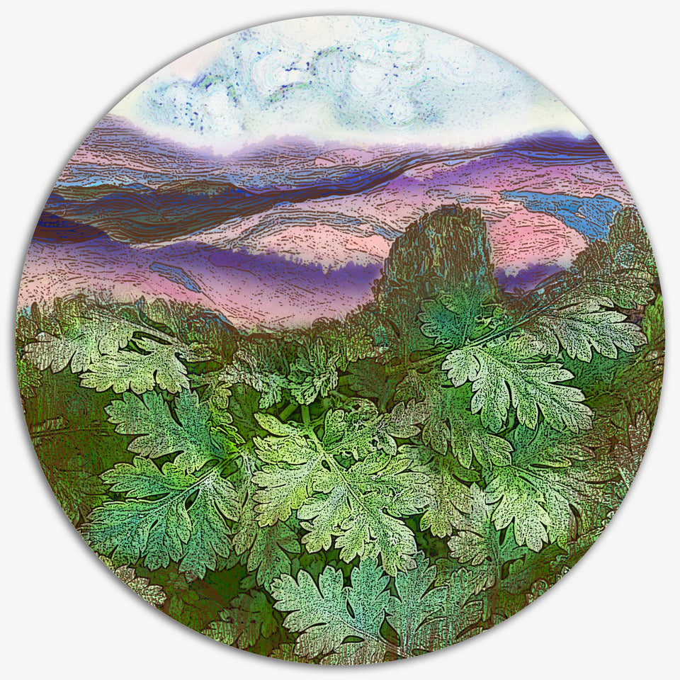 Habitats - Elizabeth Addison - Grounded, Hills series, 2024
