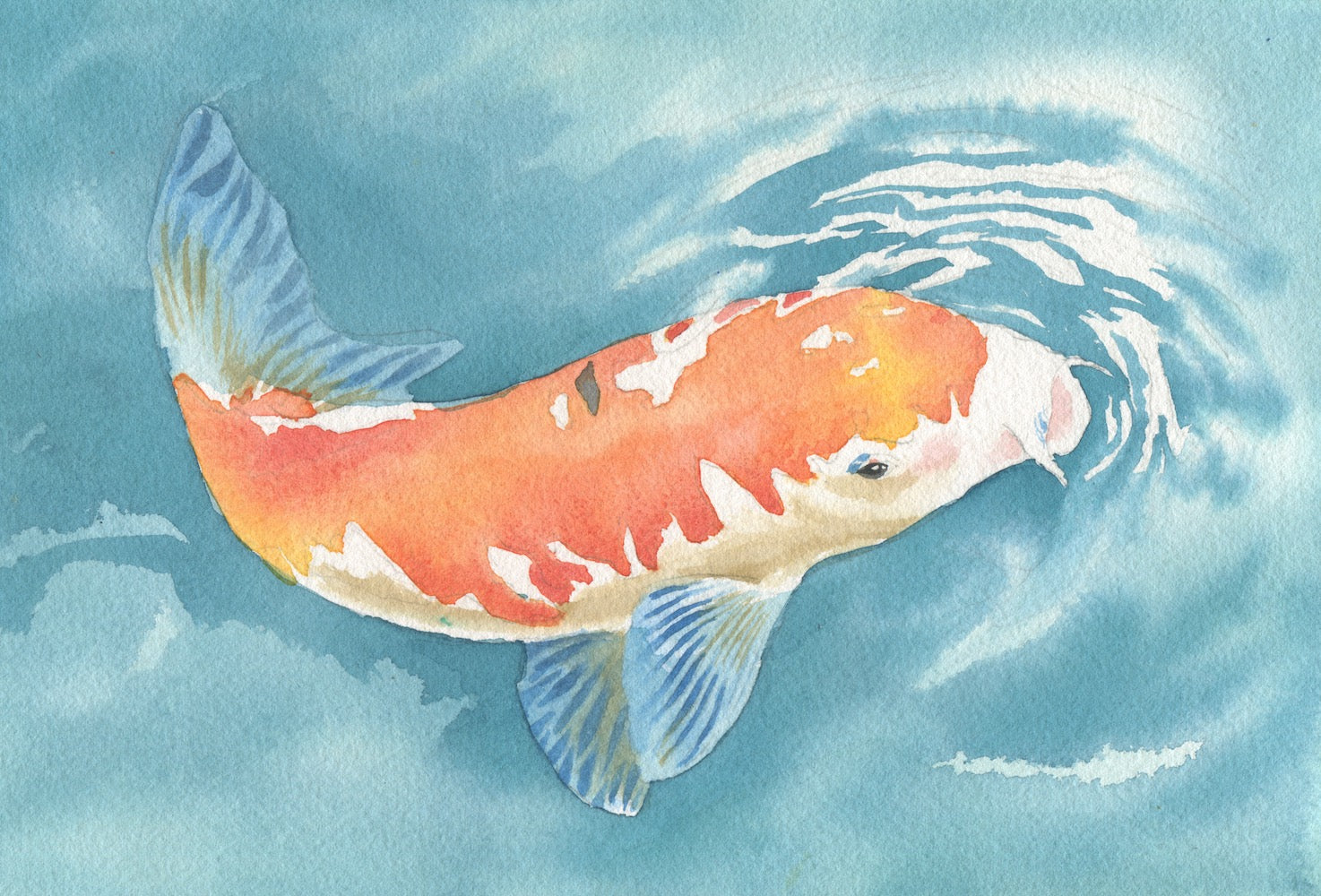 Jennifer Mazzucco -Koi Swimming in the Sun