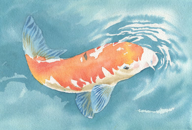 Jennifer Mazzucco -Koi Swimming in the Sun