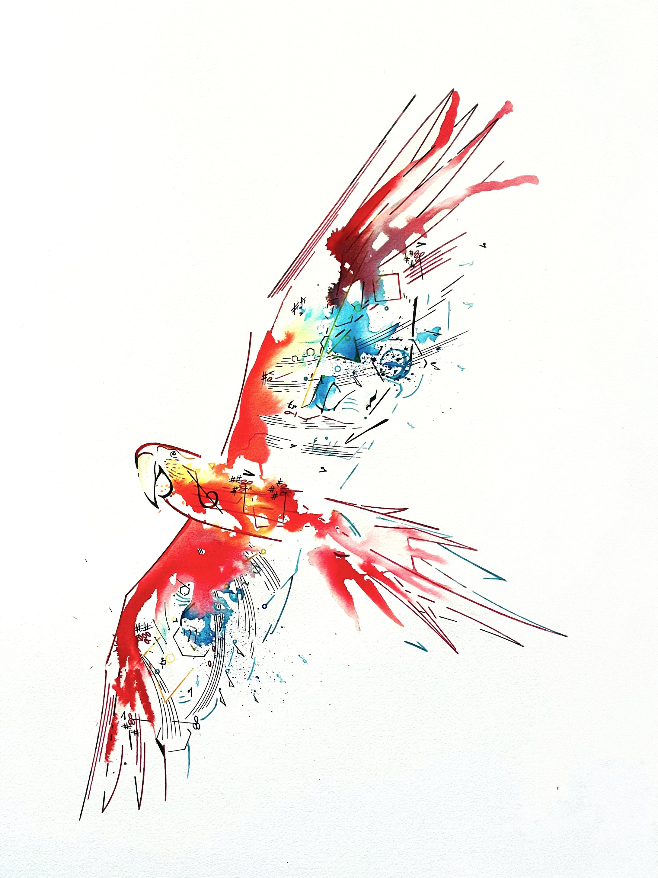 Above the Noise: Nicholas Kanozik: Macaw MVT II Op.42