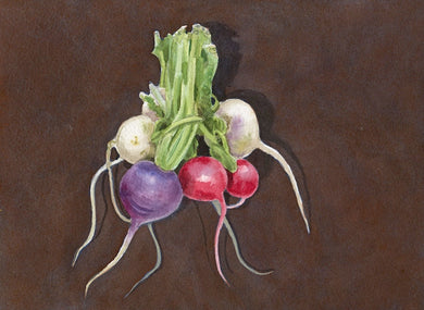 Jennifer Mazzucco - Local Radishes in a Bunch