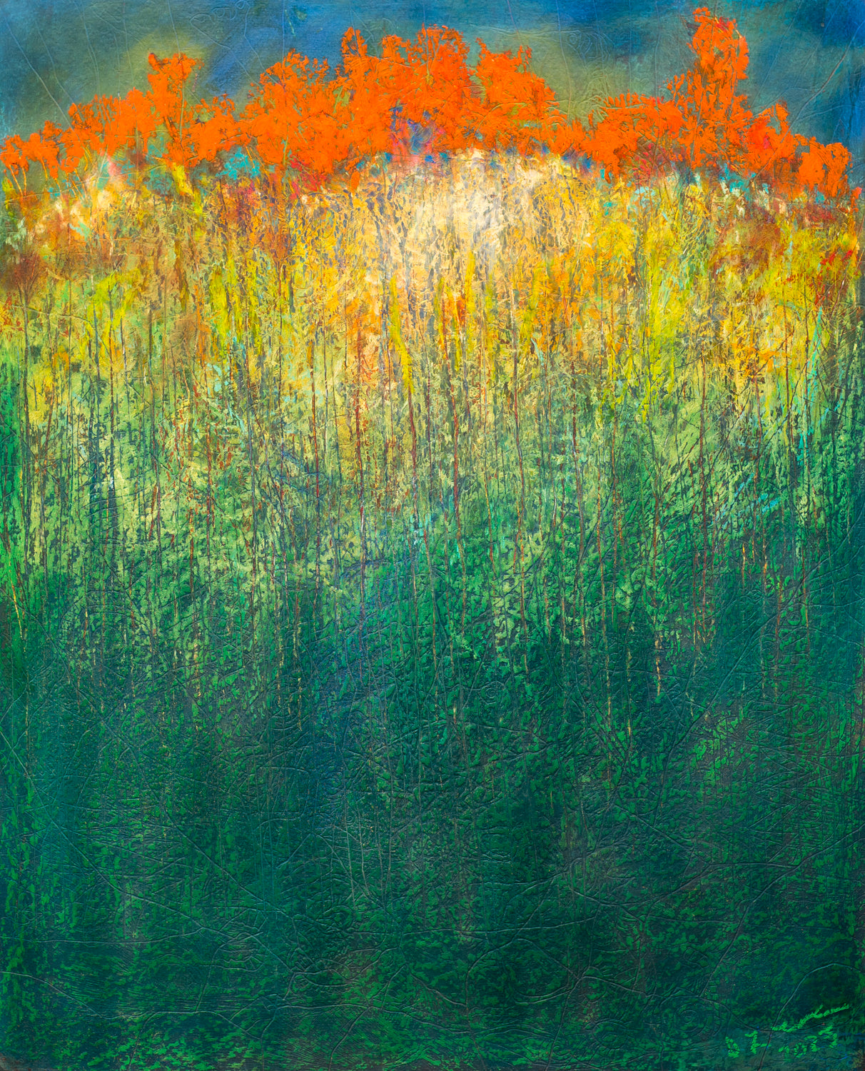 Doug Lawler 2023: Sunshine