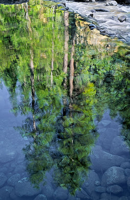 Transitions: Alan Steinbrugge: Heading Down River