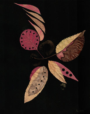 Bio-Morphic - Ana Llorente - Vuelta, Vuelta, Vuelta