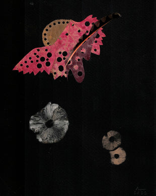 Bio-Morphic - Ana Llorente - Flicker Flicks