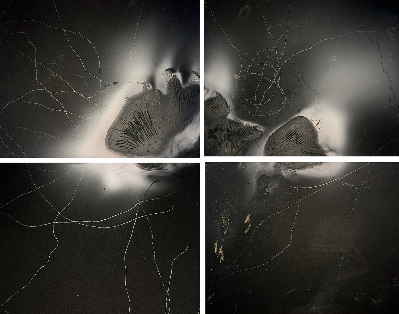 Bio-Morphic - Ana Llorente - Insectos Trabajadores