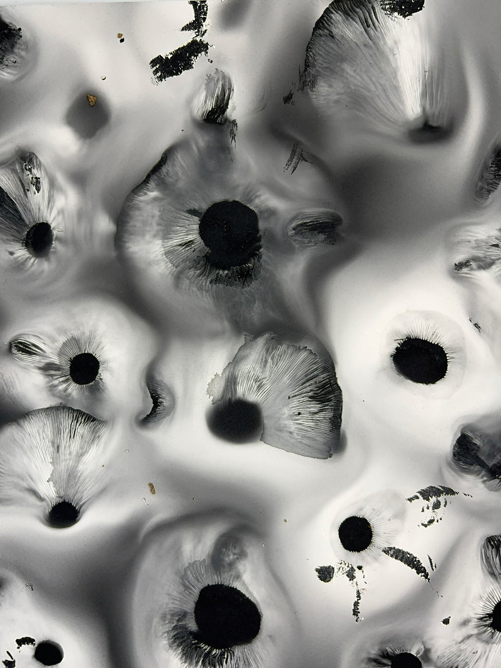 Bio-Morphic - Ana Llorente - Multiple Honeys