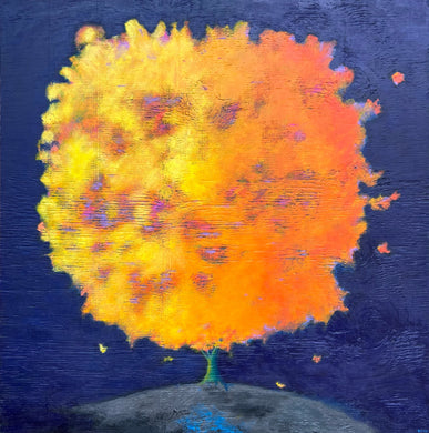 Rena Charles : Canopy Dreams - Apricot Dreams