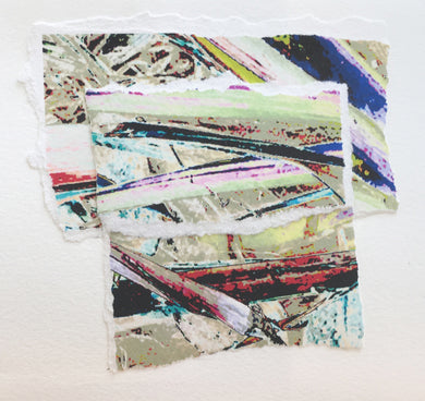 Re-Imagining Our Footprint: Priscilla Birge - Connected no. 3