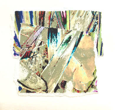 Re-Imagining Our Footprint: Priscilla Birge - Connected no. 2
