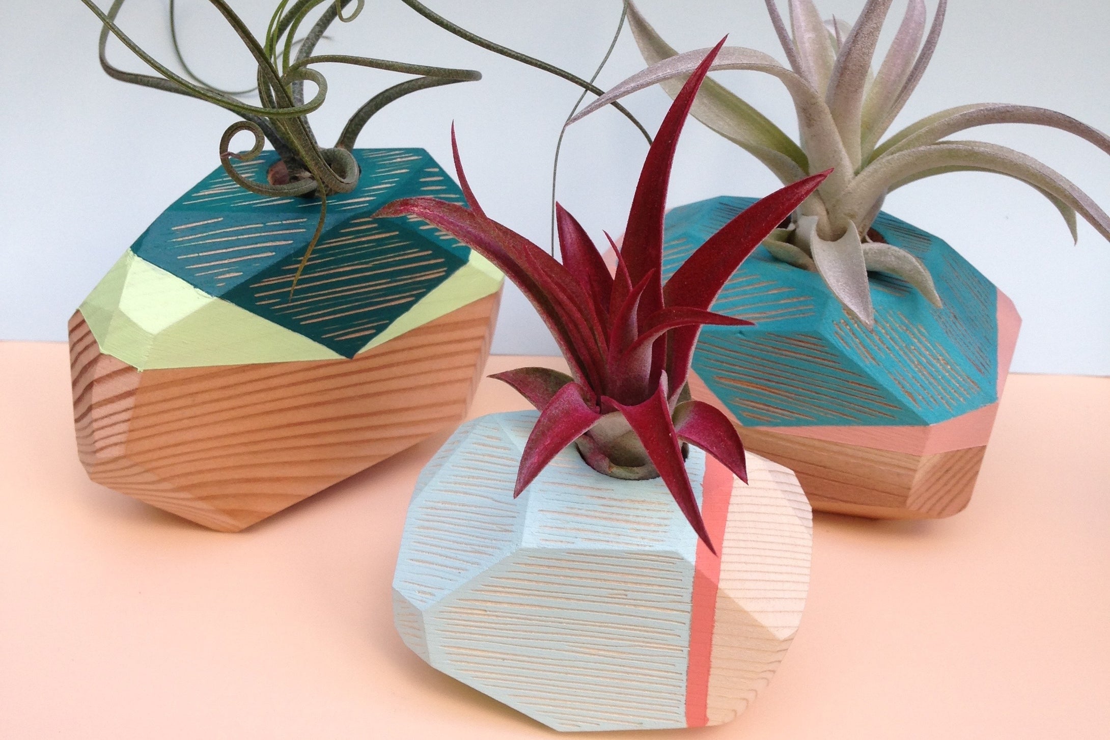 Carmen Mcnall: (W) Air Plant Vase