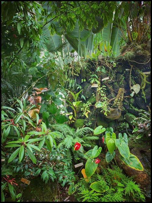 Becky Jaffe: The Great Indoors