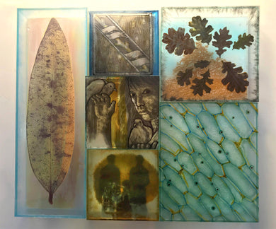 The Ground Upon Which We Stand: Elin Christopherson-Forces of Nature