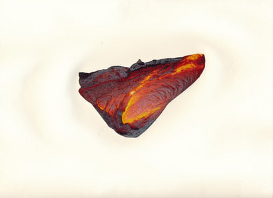Re-Imagining Our Footprint: Nicole Rose Gelormino - Mound 1