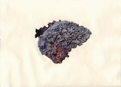 Re-Imagining Our Footprint: Nicole Rose Gelormino - Mound 3