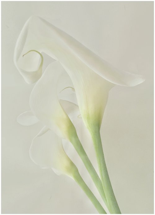 Becky Jaffe: Grace Notes