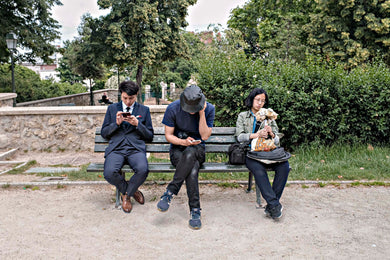 Transitions: Robin Hultgren: Park Bench