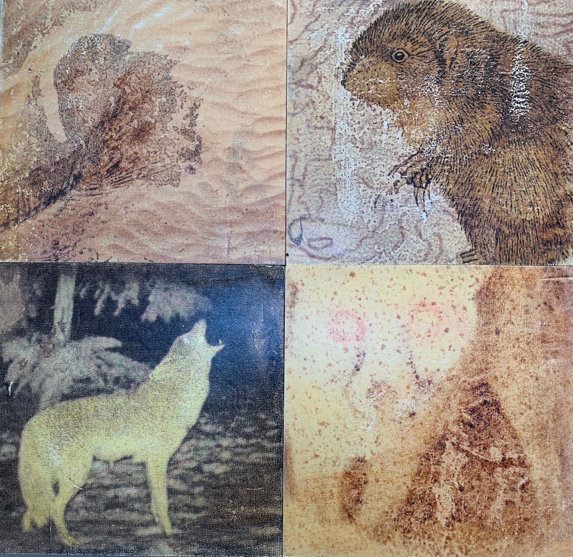 Re-Imagining Our Footprint: Artists Beyond Boundaries - Mapping The Wild 2a