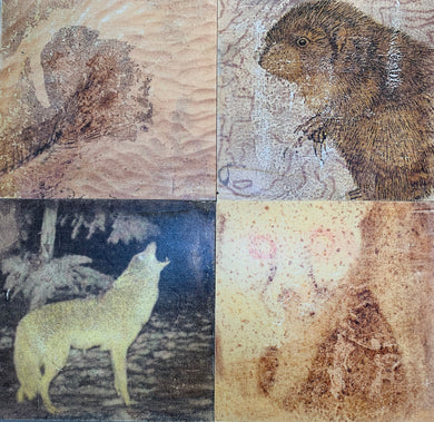 Re-Imagining Our Footprint: Artists Beyond Boundaries - Mapping The Wild  2a