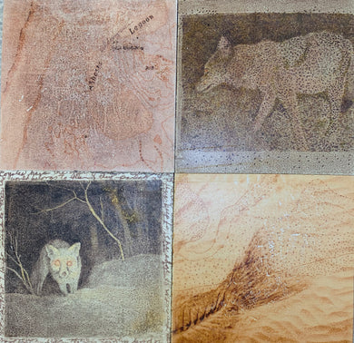 Re-Imagining Our Footprint: Artists Beyond Boundaries - Mapping The Wild  2b
