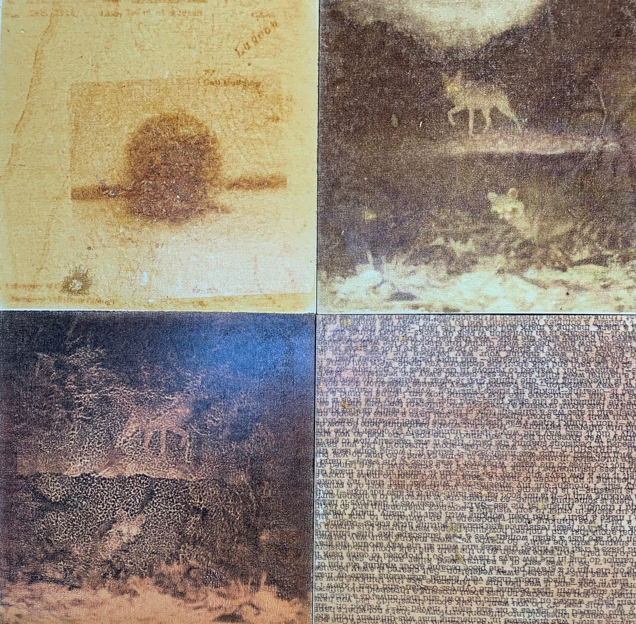 Re-Imagining Our Footprint: Artists Beyond Boundaries - Mapping The Wild  2c