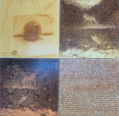 Re-Imagining Our Footprint: Artists Beyond Boundaries - Mapping The Wild  2c
