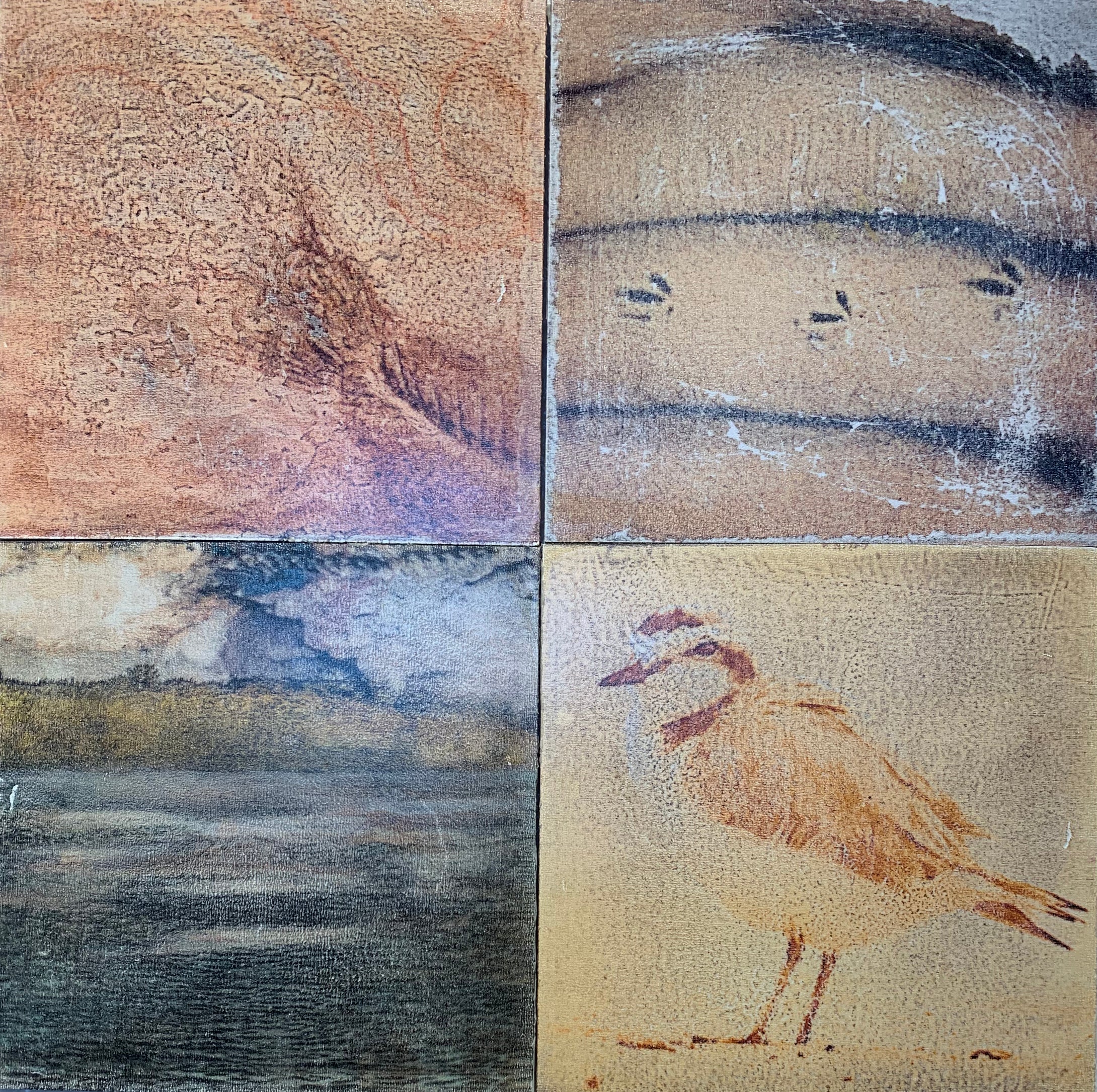 Re-Imagining Our Footprint: Artists Beyond Boundaries - Mapping The Wild  2d