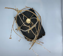 Re-Imagining Our Footprint: Stepahanie A. Siehr - Sphere of Reciprocity