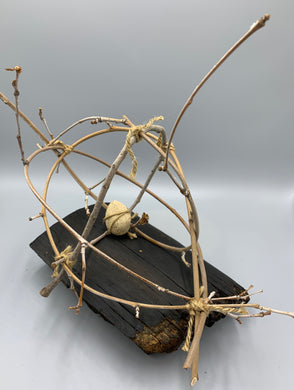 Re-Imagining Our Footprint: Stepahanie A. Siehr - Sphere of Reciprocity