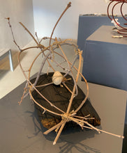 Re-Imagining Our Footprint: Stepahanie A. Siehr - Sphere of Reciprocity