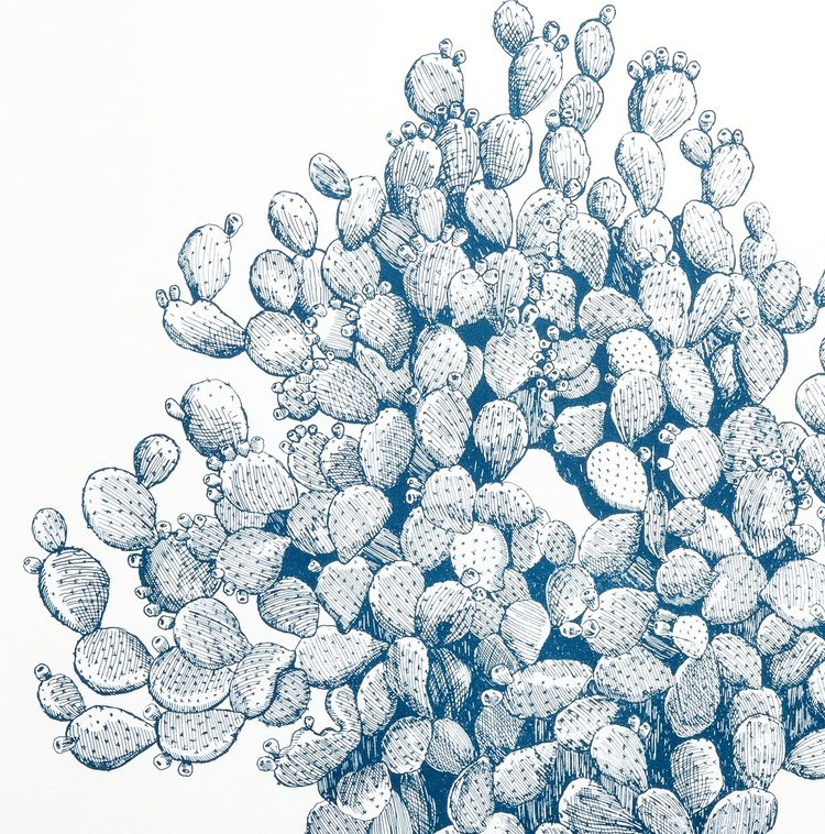 Carmen Mcnall: (W) One Thousand Years Ago