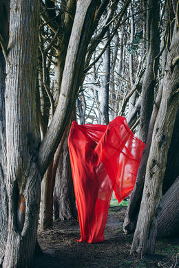 The Ground Upon Which We Stand: Jennifer Lothrigel-Goddess
