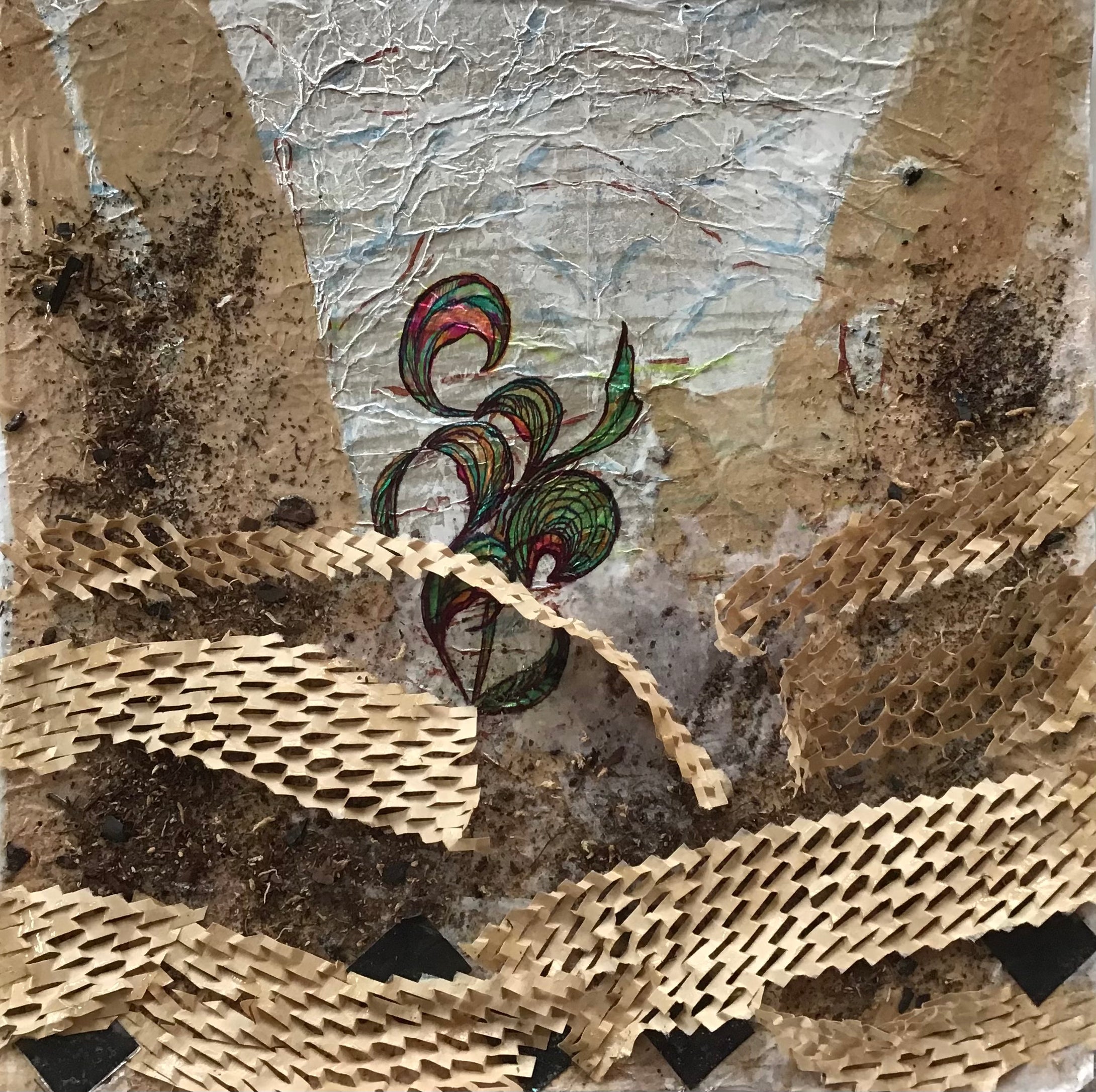 Re-Imagining Our Footprint: Laura Abrams - Emergence Unfolding