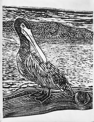 The Ground Upon Which We Stand: Luna Ruth Paesch-The Pelican Poem