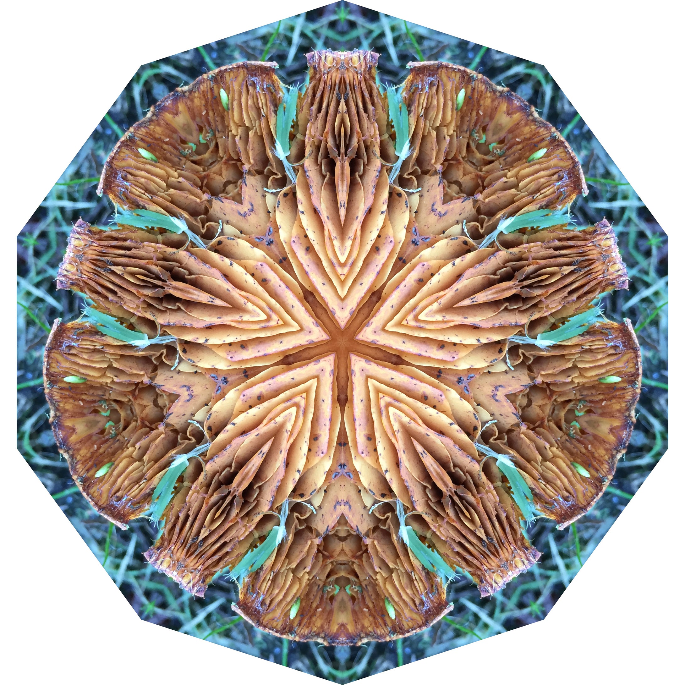 One Nest : Earthworks: Pairing 6: Elizabeth Addison: Mandala 010520, Opulent