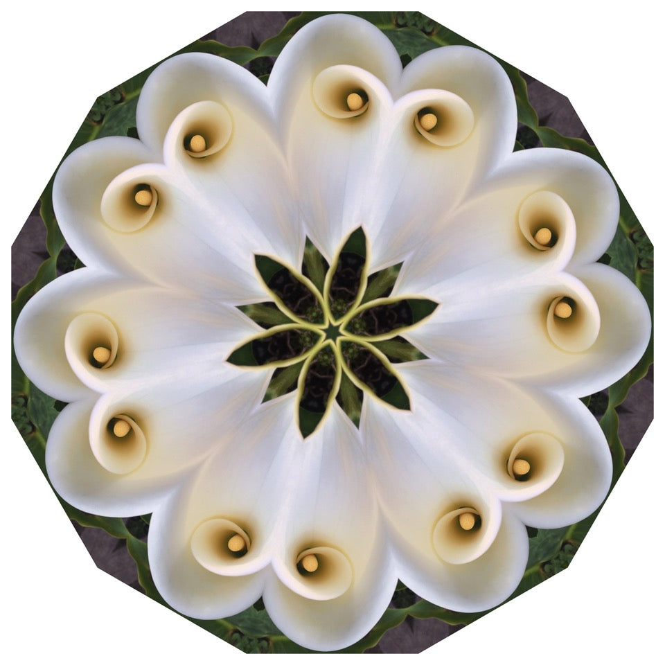 Elizabeth Addison: Calla, Mandala 020619