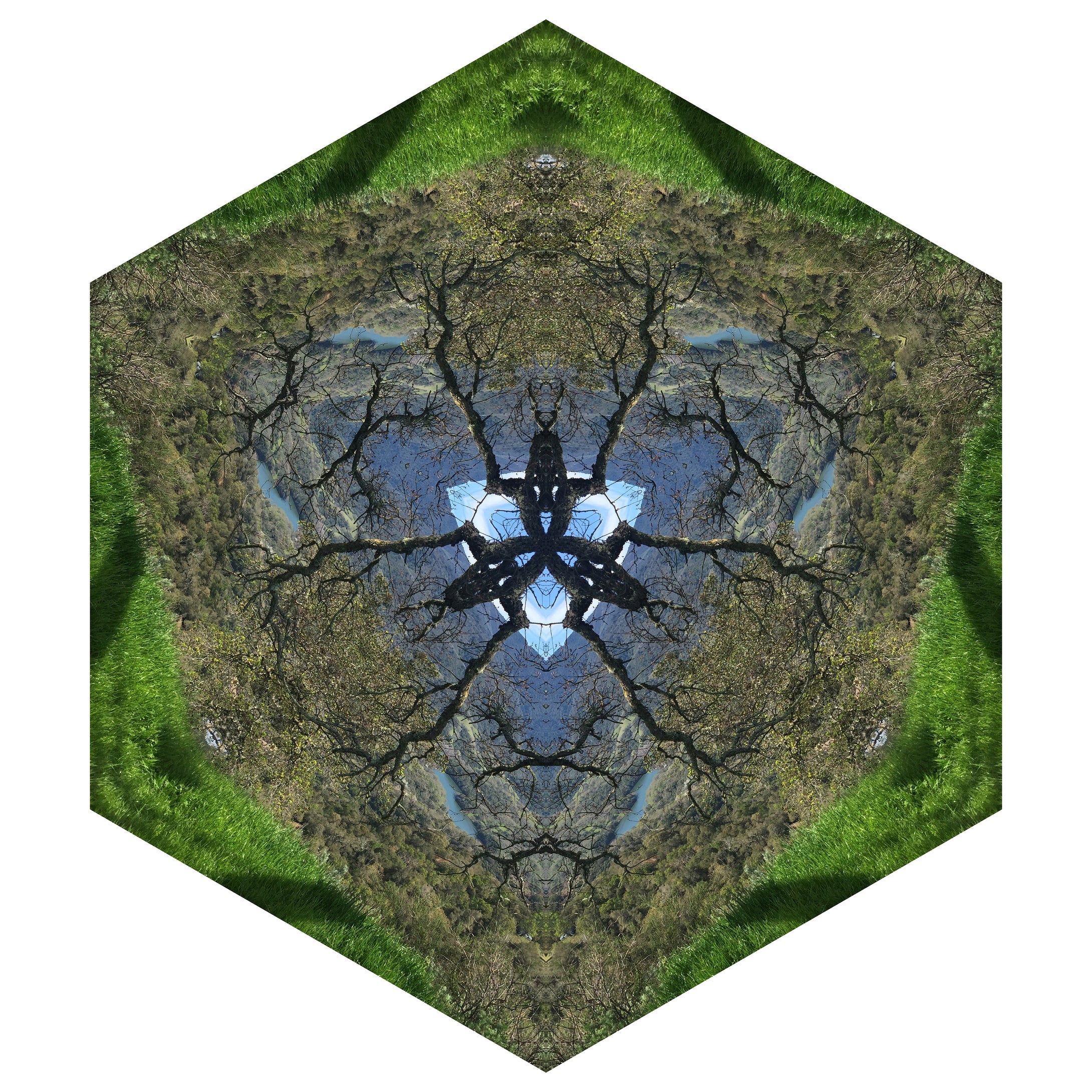 One Nest : Earthworks: Pairing 5: Elizabeth Addison: Mandala 031719, Open Spaces