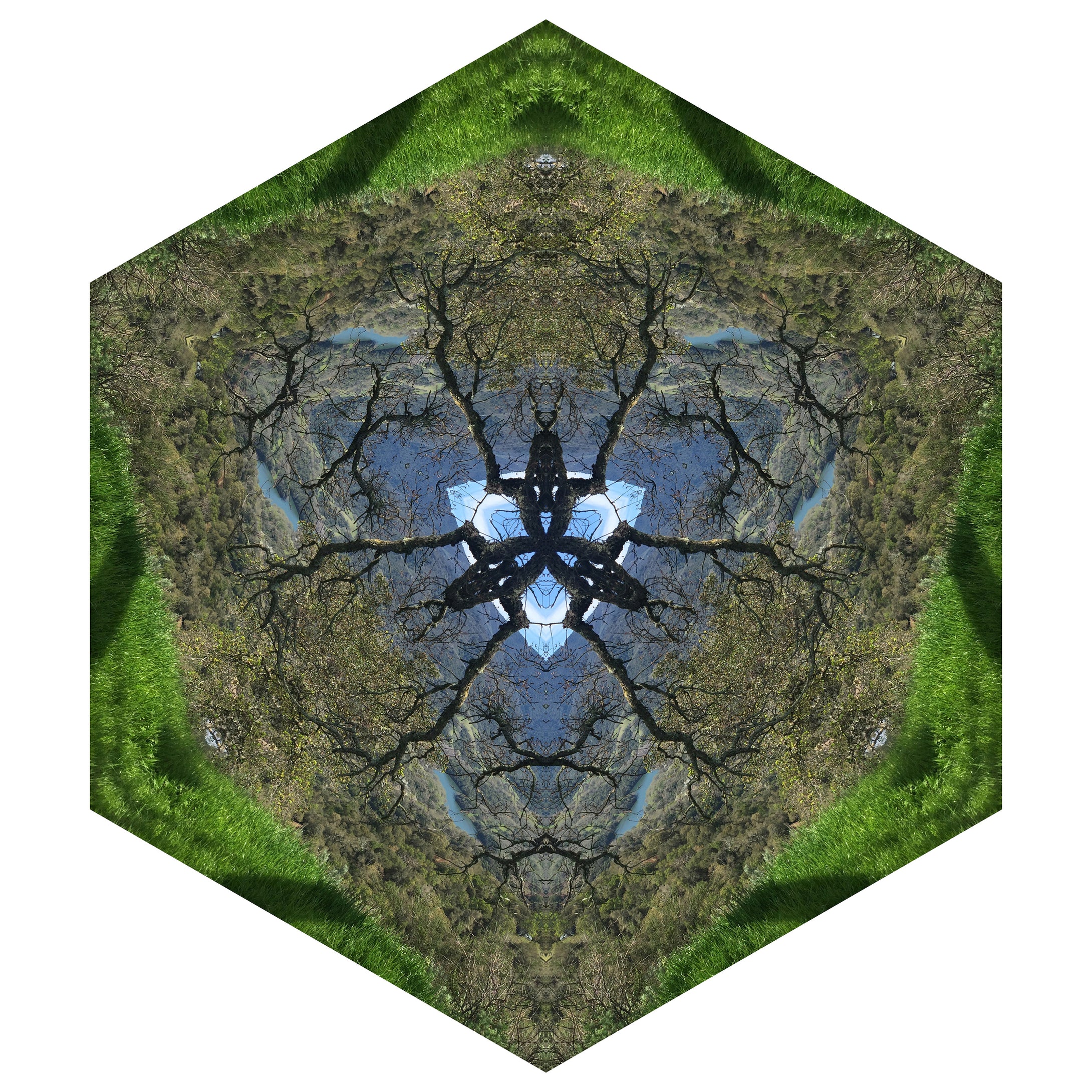 One Nest : Earthworks: Pairing 5: Elizabeth Addison: Mandala 031719, Open Spaces