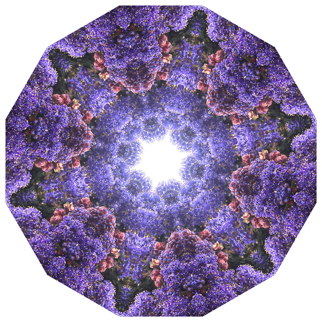 One Nest : Earthworks: Pairing 8: Elizabeth Addison: Mandala 040819, The Bright Underbelly
