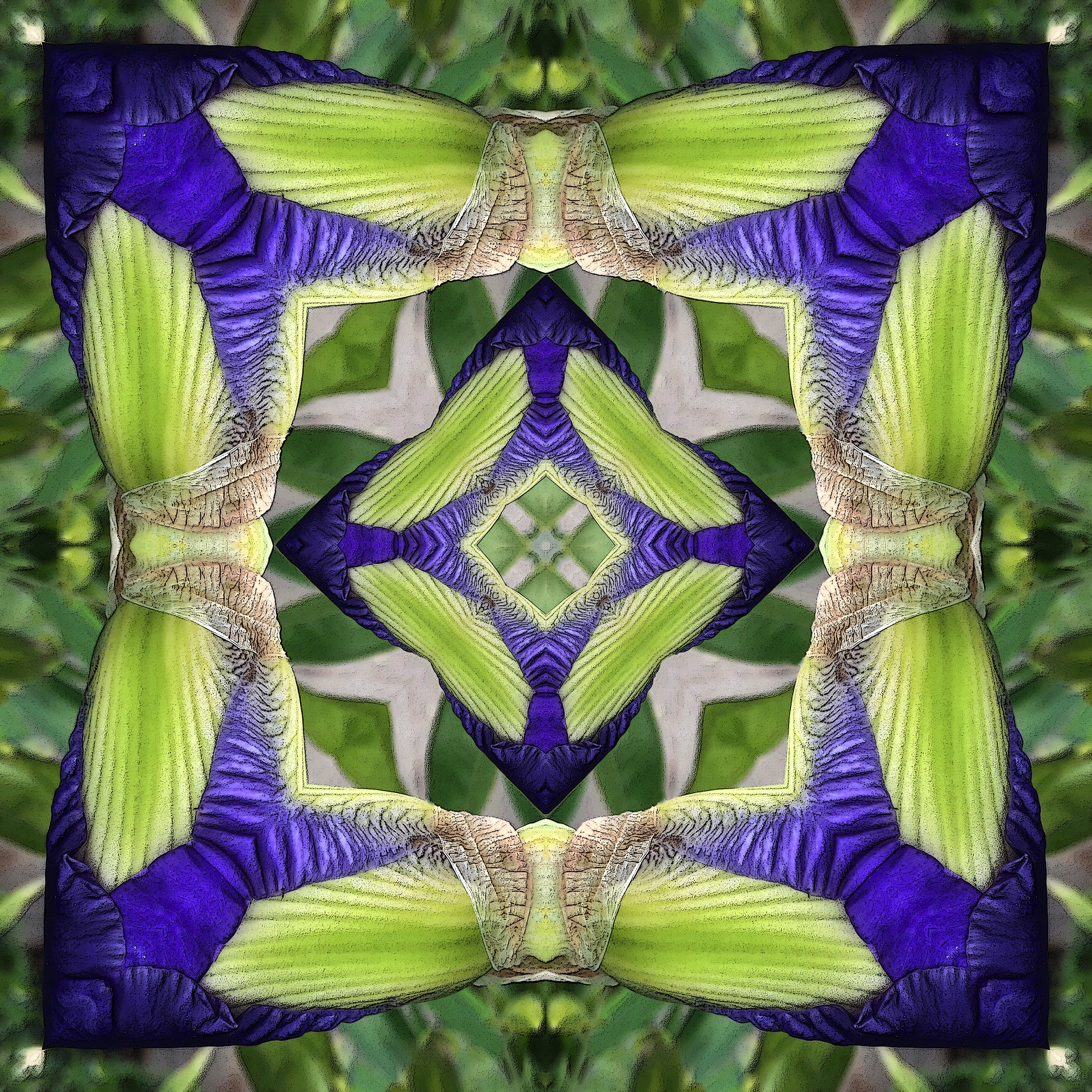 One Nest : Earthworks: Pairing 8: Elizabeth Addison: Mandala 041020, Pandemania Day 25 - Recursive Blooming