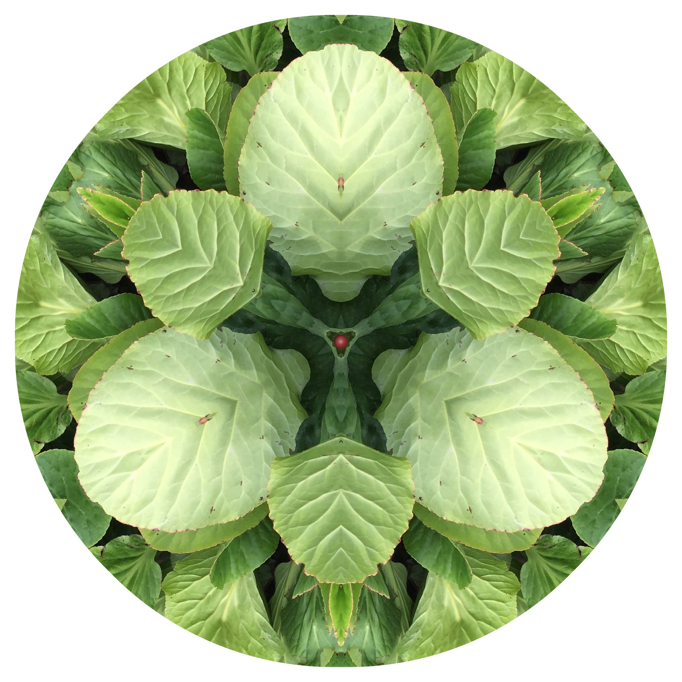 One Nest : Earthworks: Pairing 10: Elizabeth Addison: Mandala 070820, Pandemania Day 114 - Recursive Forms II