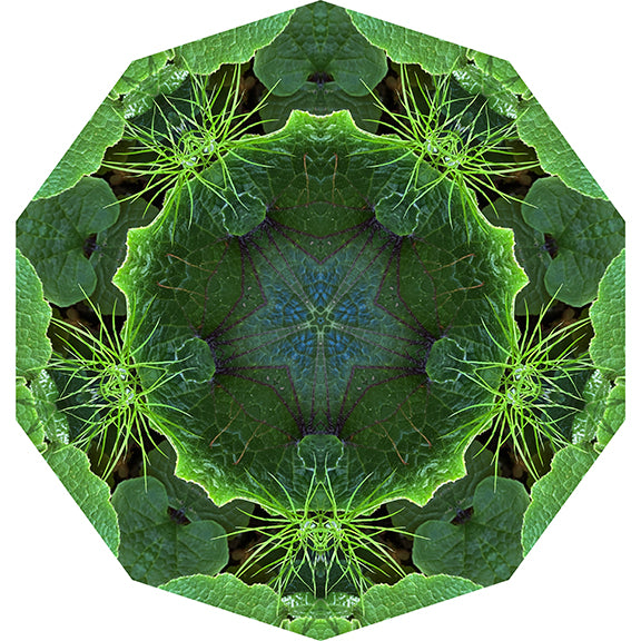 One Nest : Earthworks: Pairing 2: Elizabeth Addison Mandala 080120, Pandemania Day 138 - Mixed Greens