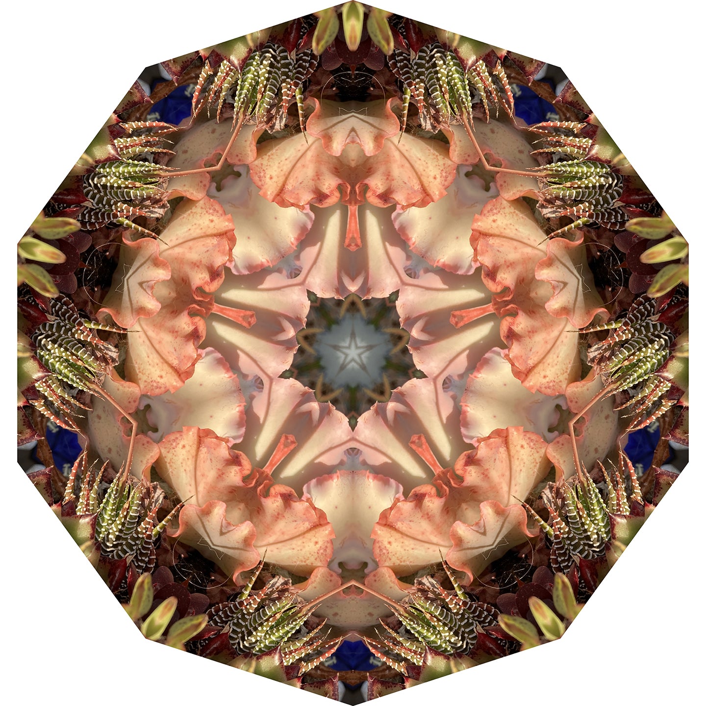 One Nest : Earthworks: Pairing 11: Elizabeth Addison: Mandala 081020, Pandemania Day 147 - Palette Inspiration