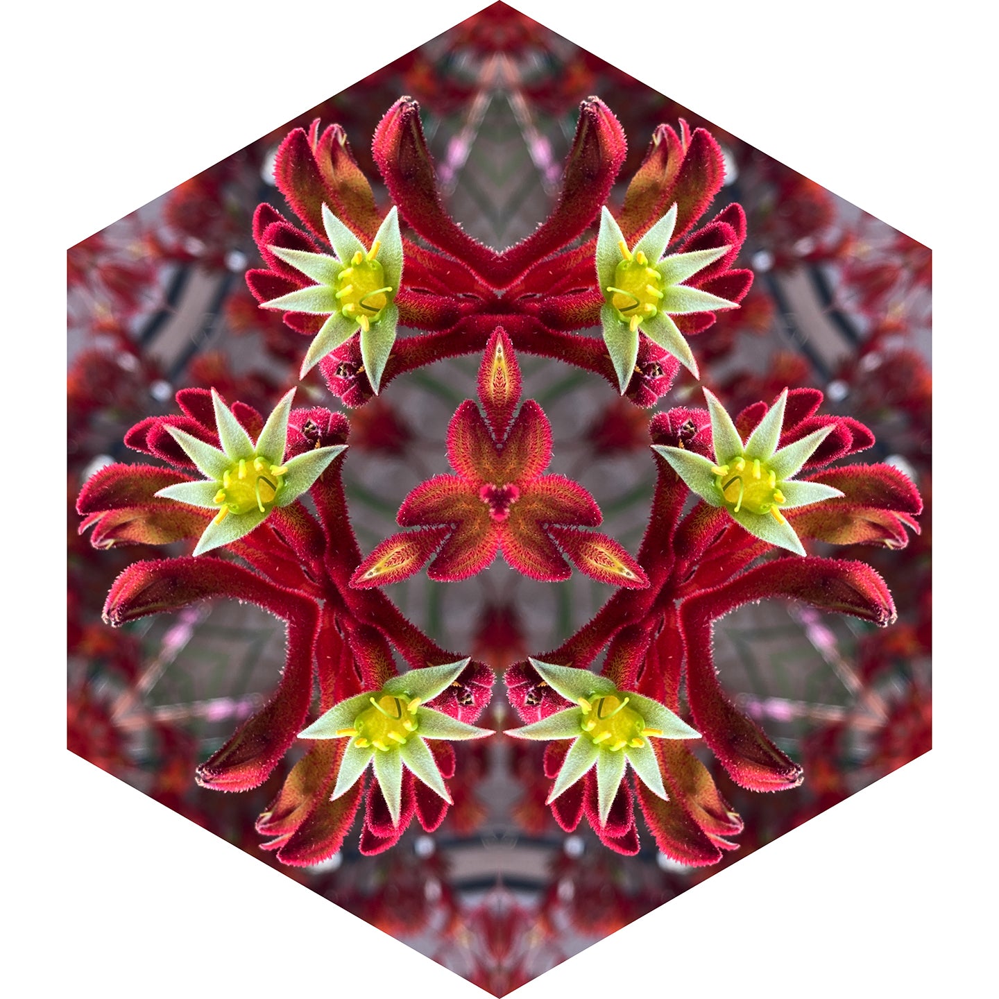 One Nest : Earthworks: Pairing 10: Elizabeth Addison: Mandala 081420, Pandemania Day 151 – Scream
