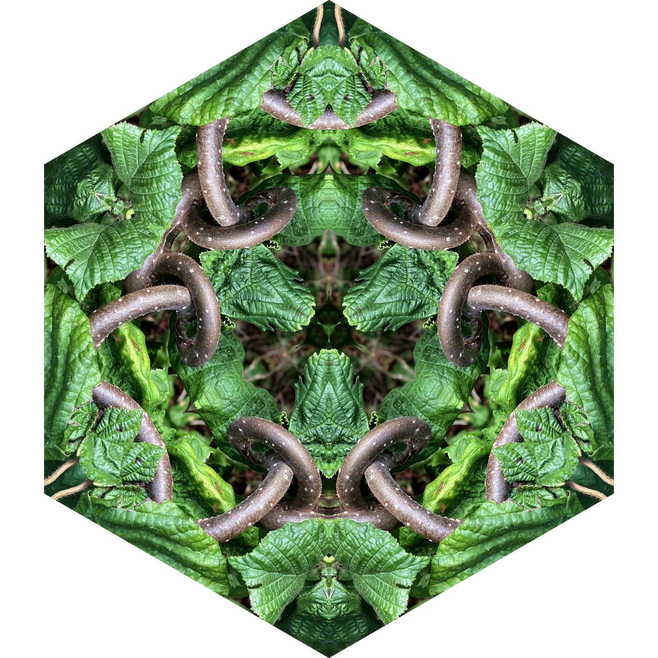 One Nest : Earthworks: Pairing 2: Elizabeth Addison Mandala 092620, Pandemania Day194 - Requa Tangles
