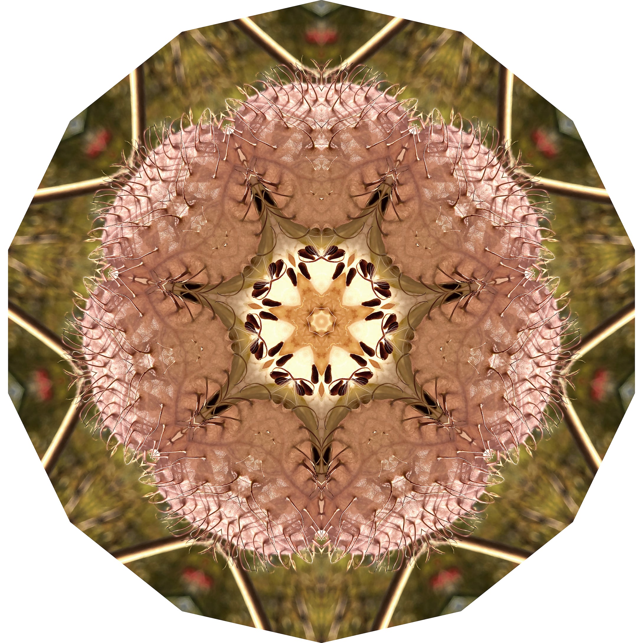 One Nest : Earthworks: Pairing 11: Elizabeth Addison: Mandala 122620, Pandemania Day 285 – Capsule